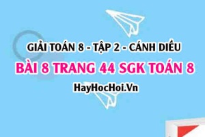 Bài 8 trang 44 Toán 8 Tập 2 Cánh Diều